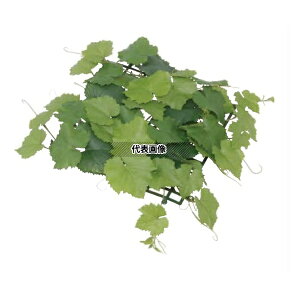 ^JV[ GN-78 33396700 O[vACr[}bg plHA tFCNO[ lH RP GN-78 [@l]