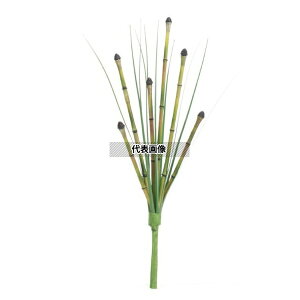 �^�J�V���[ GN-80S 33390500 �g�N�T �� L23cm �ϗt�A�� �l�H�A�� �ؒ�┫�A���̉����� GN-80S [�@�l����]