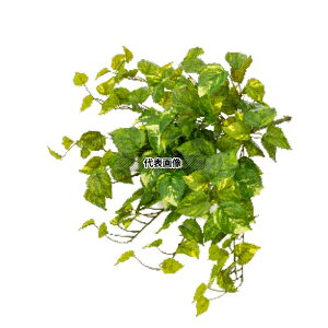 ^JV[ GN-96 21679600 A|gX p ϗtA lHA nMO GN-96 [@l]