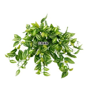 ^JV[ GN-97 21681900 gfBXJ`A p ϗtA lHA nMO GN-97 [@l]