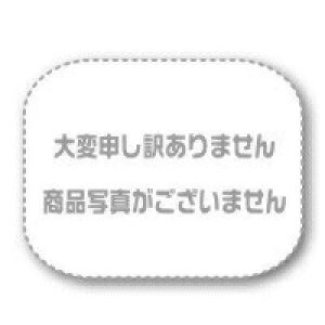 �e���I�J�@�萫�h���p�^�O���[�h�@1-460X570mm�@[100����]�@�F19-0202-12