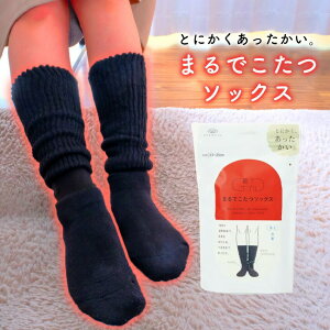 { CTv ܂ł\bNX 23`25cm ubNy݌ɗLz