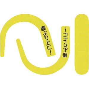 H[ SW 891-YS w!x SуtbNpuXebJ[ uCG[  100×150mm