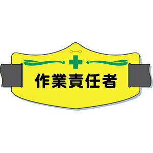 H[ SW WE-12S wƐӔCҁx e(C[)r 75×145mm V[gSoht