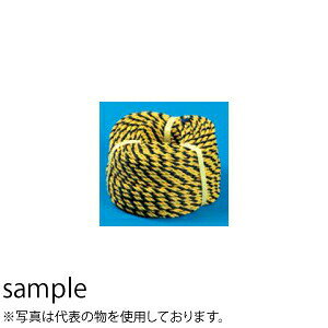 H[ SW 5411 [vx g[v 12×100m |G`[@l][ʓrς]