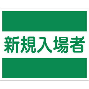 H[ SW TY-31E wVKҁx ݃v[g 21g 170×250mm Px˃V[g