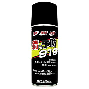 DY QeNmWB K\h919iNCbNj 420mL Xv[