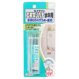 ◆セメダイン エポキシパテ 水中用 HC-119 P60g