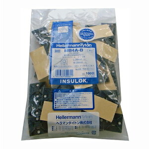 YH w}^Cg }Egx[Xp100 MB4A-B N