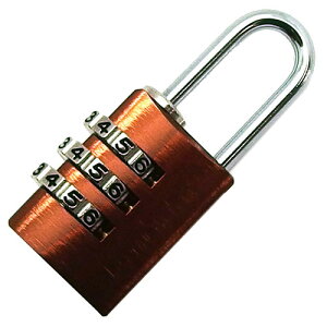  STRONG(XgO)io[ώ싞 145-20 uE