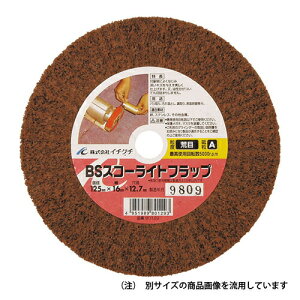 ���C�`�O�` BS �X�R�[���C�g�t���b�vA ���� 150X16X12.7