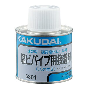 JN_C rpCvpڒ100g 6301 nPcL