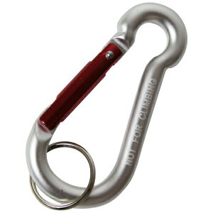 �������Y�� SK11 �A���~�J���r�i C SAC-880C�V���o�[