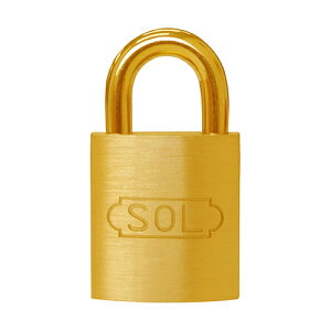  SOL V_[20mm(pbN) 2500BP20