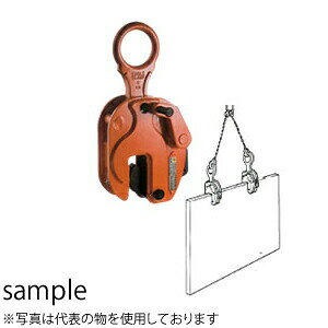 C[ONv |cpNv RS-12 gp׏d(ŏ-ő kg)F2400-12000