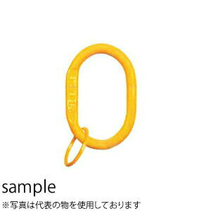 C[ONv }X^[N(`F[ANZT[) MR-10 őgp׏d(t)F4