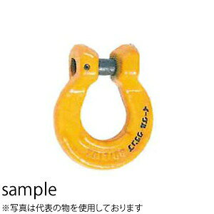 C[ONv Jv[(`F[ANZT[) SLR-6 őgp׏d(t)F0.5