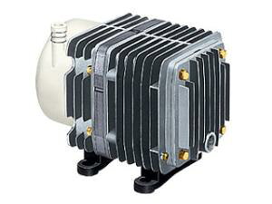 H@ሳpjARvbT@AC0602@(NoF04966)