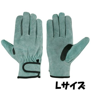 V  OIL-719 VO[u TCYFL v 10o