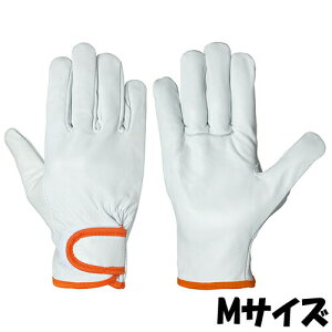 V  CG-723 VO[u TCYFM {v 10o