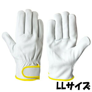 V  CG-725 VO[u TCYFLL {v 10o