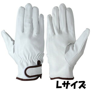 V  PL-717 VO[u TCYFL ؊v 10o