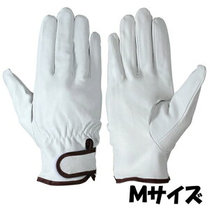 V  PL-717 VO[u TCYFM ؊v 10o