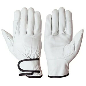 V  AZG-202 VO[u {v 10o