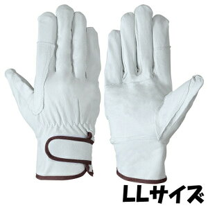 V  PL-718 VO[u TCYFLL ؊v 10o