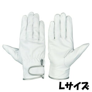 V  GT-717 VO[u TCYFL Rrv 10o