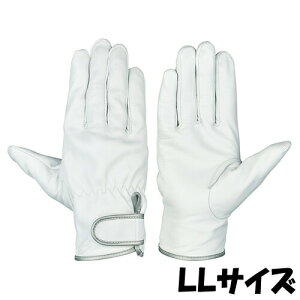 V  GT-717 VO[u TCYFLL Rrv 10o