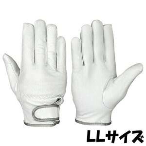 V  GT-719 VO[u TCYFLL Rrv 10o