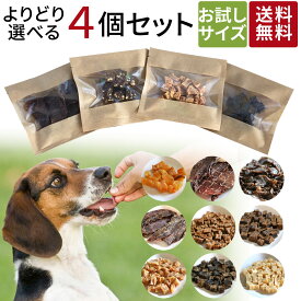 お試し 超小袋 | 送料無料 犬 おやつ 無添加 どっぐふーどる 国産 鹿肉 ささみ ジャーキー チーズ 詰め合わせ 小型犬 犬のおやつ ドックフード アレルギー 犬おやつ オヤツ 犬用おやつ 小分け ドッグフード 犬用品 犬のえさ