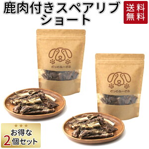 yBP 10{z   Y  t XyAu | ǂӁ[ǂ Y V[g 2Zbg 60g W[L[ L\h ybg Mtg hbOt[h AM[ ybgt[h ̂