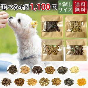   Y Y   ǂӁ[ǂ   `[Y lߍ킹 ^ ̂ hbNt[h AM[  Ic p  hbOt[h W[