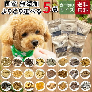   Y Y Iׂ5Zbg ǂӁ[ǂ MtgZbg   ܂  W[L[ n JK[ M~N H  d lߍ킹 hbOt[h  h