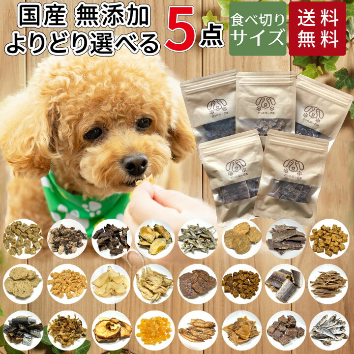 楽天市場】犬 おやつ 無添加 国産 選べる5個セット どっぐふーどる 