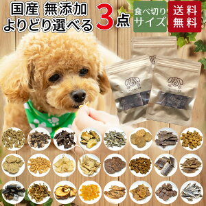   Y Y   3  ǂӁ[ǂ MtgZbg   ܂  W[L[ n JK[ M~N H  d L[uhbO hbOt[