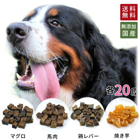 送料無料 猫 犬 おやつ 無添加 食べやすいキューブ 4種 詰め合わせ どっぐふーどる 国産 小分け ギフト セット 個別包装 各20g まぐろ 鶏レバー 馬肉 焼き芋 さつまいも ドッグフード 犬食 | ドッグ ドックフード 犬おやつ 犬のおやつ 犬用