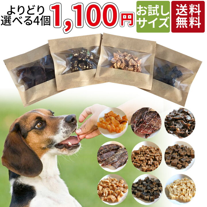 楽天市場 税別 1000円 お試し 超小袋 送料無料 犬 おやつ 無添加 どっぐふーどる 国産 鹿肉 ささみ ジャーキー チーズ 詰め合わせ 小型犬 犬のおやつ ドックフード アレルギー 犬おやつ オヤツ 犬用おやつ 小分け ドッグフード 犬用品 犬のえさ 犬の餌 国産無添加