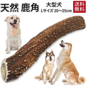 【スーパーSALE P10倍】送料無料 犬 おやつ 無添加 鹿の角 ガム おまけ付 | どっぐふーどる 国産 20cm?25cm 鹿角 歯石取り はみがき おもちゃ 犬のおやつ ドック 長持ち 大型犬 ペット 歯磨きガム 歯石 グッズ 犬おやつ 犬用 デンタルケア 鹿 角 犬のガム