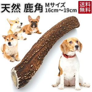 犬 歯磨き 無添加の通販 価格比較 価格 Com