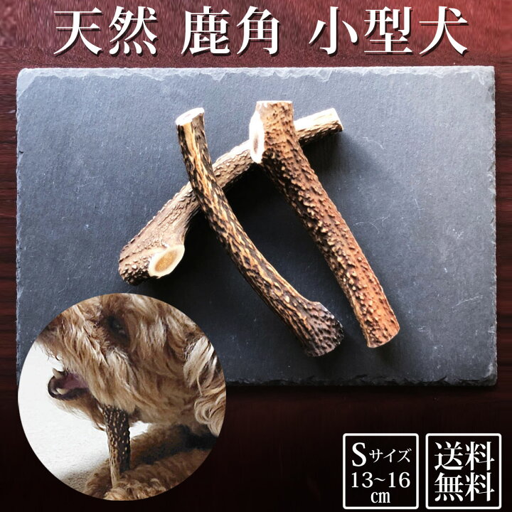楽天市場 送料無料 犬 おやつ 無添加 鹿の角 ガム どっぐふーどる 国産 約13cmから16cm 鹿角 鹿 角 歯石取り おもちゃ 小型犬 天然 犬のおやつ 長持ち 歯磨きガム 歯石 ストレス解消 グッズ 犬おやつ デンタルケア 犬のガム 歯みがき 犬用 ツノ はみがき ハミガキ 犬の