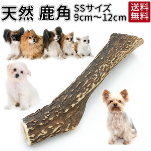 犬 歯磨き 無添加の通販 価格比較 価格 Com
