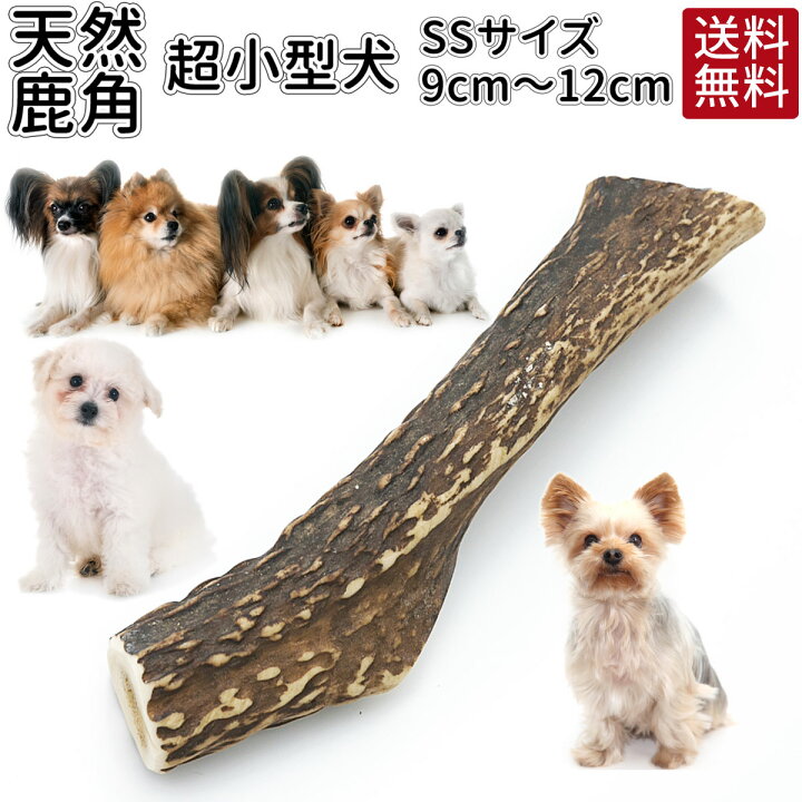 楽天市場 鹿の角 ガム 期間限定 おまけ付 送料無料 犬 おやつ 無添加 どっぐふーどる 国産 鹿角 おもちゃ デンタルケア 犬のおやつ 歯石 犬おやつ 犬用 歯磨きガム 鹿 角 犬のガム 歯みがき はみがき ハミガキ 犬のオヤツ 犬用品 オヤツ 国産無添加 ごはん 日本 ご飯