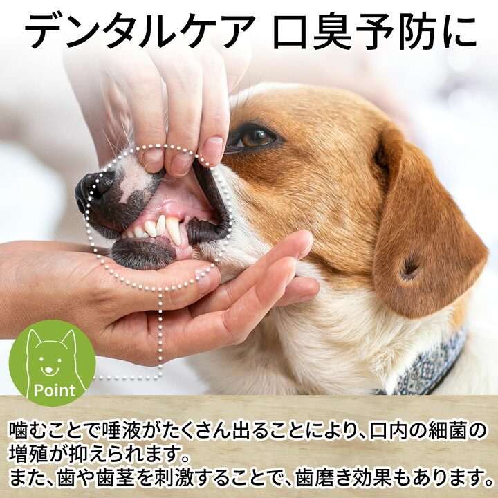 楽天市場 鹿の角 16 19cm ガム おまけ付 送料無料 犬 おやつ 無添加 どっぐふーどる 国産 鹿角 口臭予防 歯石取り おもちゃ 犬のおやつ ドックフード 歯磨きガム 歯石 グッズ 犬おやつ デンタルケア 犬のガム はみがき ハミガキ 犬用おやつ ペットフード ペット 口臭