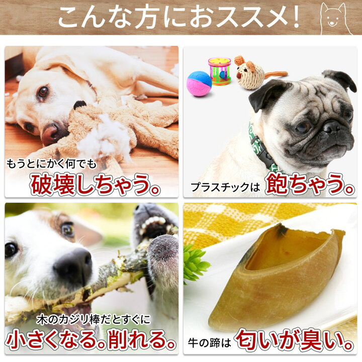 楽天市場 鹿の角 16 19cm ガム おまけ付 送料無料 犬 おやつ 無添加 どっぐふーどる 国産 鹿角 口臭予防 歯石取り おもちゃ 犬のおやつ ドックフード 歯磨きガム 歯石 グッズ 犬おやつ デンタルケア 犬のガム はみがき ハミガキ 犬用おやつ ペットフード ペット 口臭