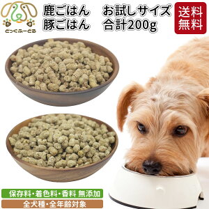 hbOt[h p Y Y  ؓ  1000~ |bL  pi ͂  