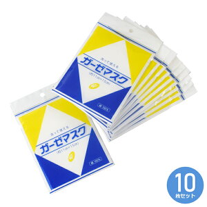 Ďg 傫߃}XN K[[}XN 100 18킹 × 10Zbg