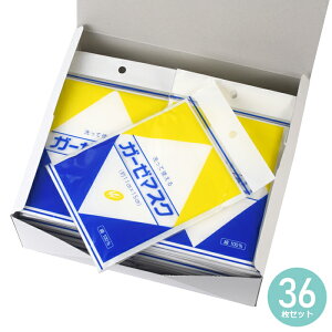 Ďg 傫߃}XN K[[}XN 100 18킹 × 36Zbg